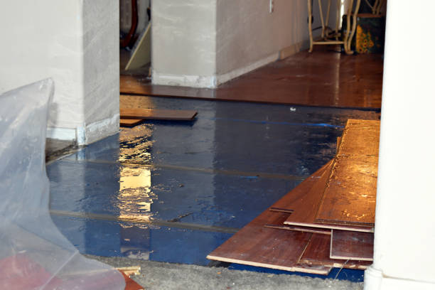 Professional Sewage Cleanup technician working in Columbiana, OH